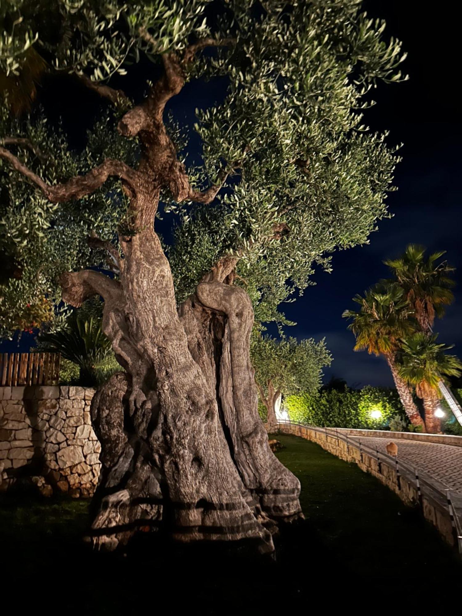 Alla Villa Di Angelo 莫诺波利 外观 照片