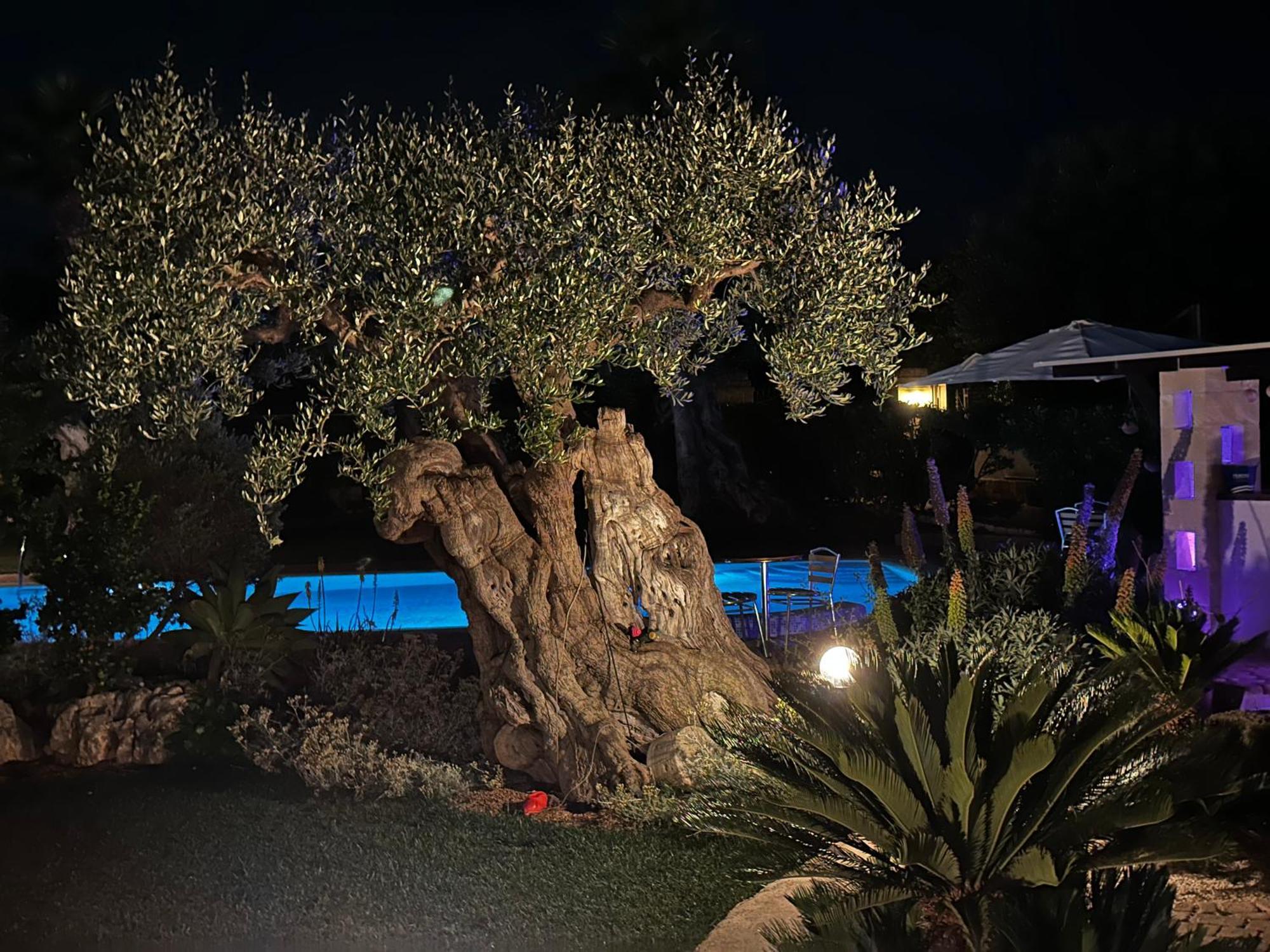 Alla Villa Di Angelo 莫诺波利 客房 照片